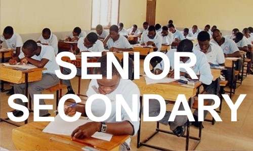 course of senior secondary education